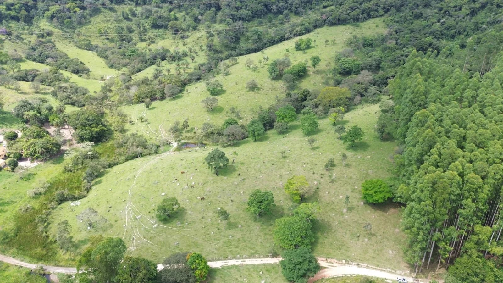 Área com 14 hectares - Barragem do Benfica