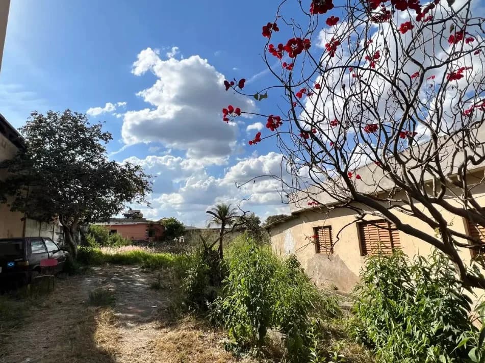 Lote com 768 m² - Piedade